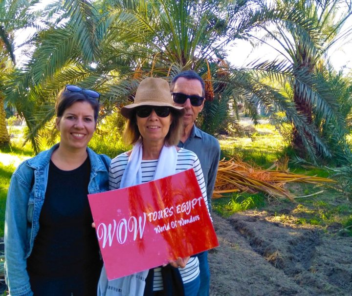 Travelers standing in a date palm farm in Rashid Egypt holding a WOW Tours Egypt sign during a local experience