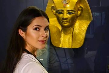 Cairo front (36)// Alexandria front (10)